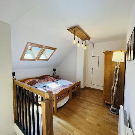 Deux Alpes Duplex Entierement Renove Les Deux Alpes